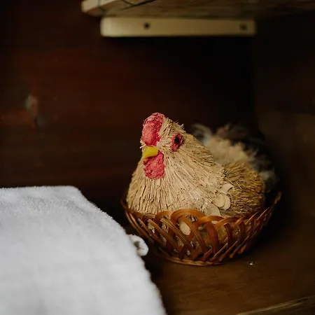 Glamping Il Rifugio Dei Marsi Ascoli Piceno